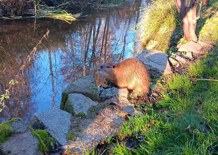 Spreequartier Malschwitz