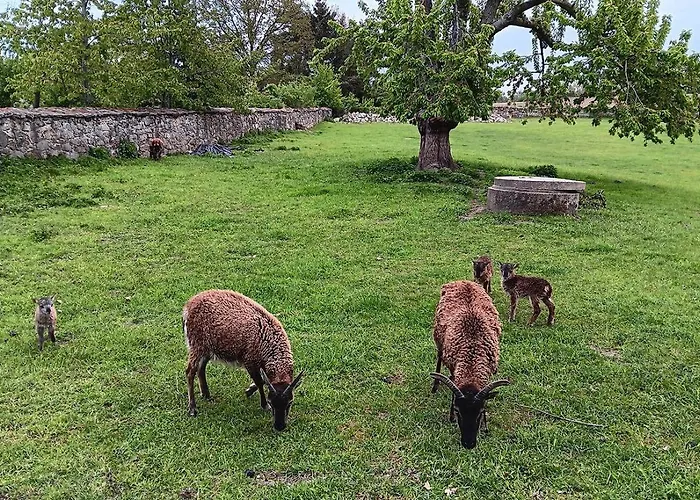 Appartement Spreequartier